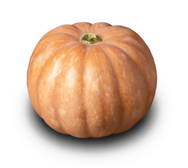 big pumpkin