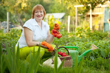   woman with vegetables harvest