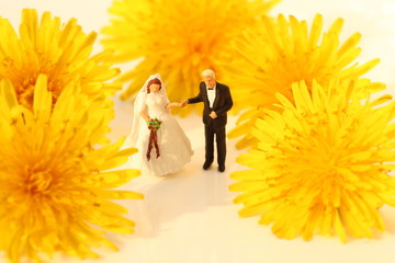 タンポポと結婚式