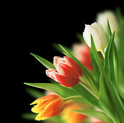 tulip bouquet