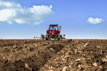 Fototapeta premium Sowing of wheat