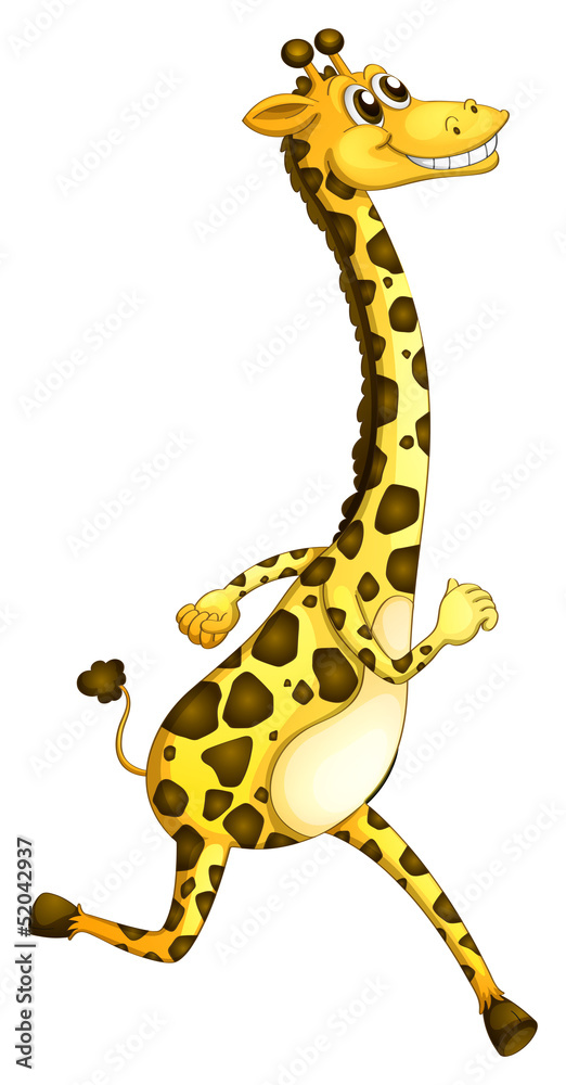 Poster A giraffe running