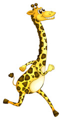 A giraffe running