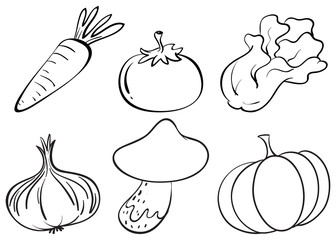 Doodle designs of different vegetables