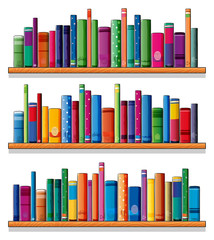 Wooden shelves with books