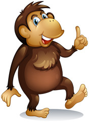 An old monkey standing