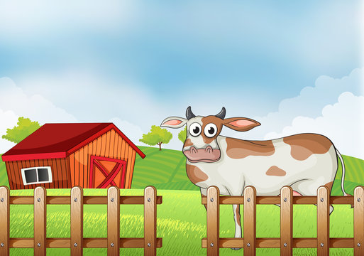 A farm with a cow