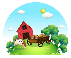 A cow and a carriage in front of a barn in the farm