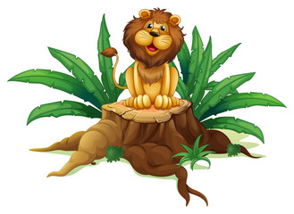 A lion sitting on a stump with leaves