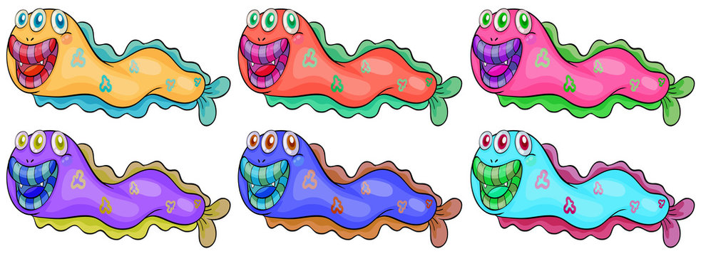 Six different colors of worms