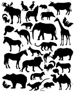 silhouette mammals