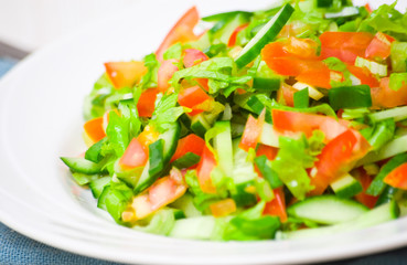 fresh vegetable salad on plate