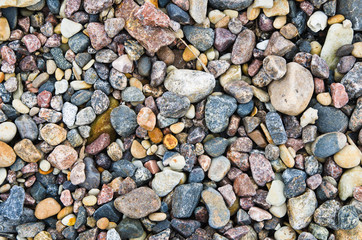 Multi-coloured sea stones, close-up