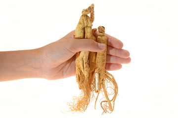 Hand Holding Some Ginseng Roots