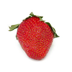 one ripe strawberry