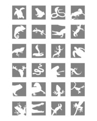 Icons of reptiles and amphibians