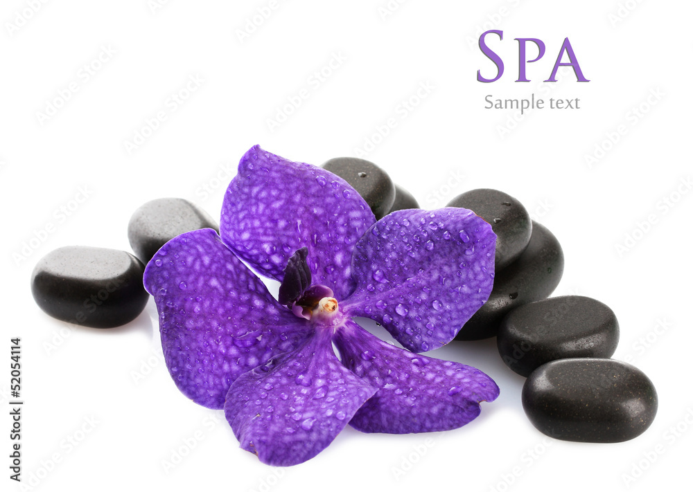 Poster Spa stones and purple flower, isolated on white