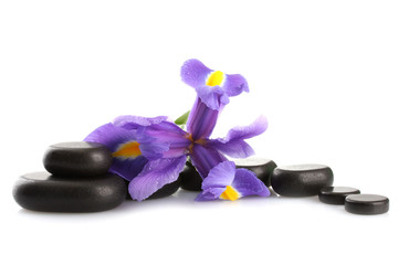 Obraz na płótnie Canvas Spa stones and purple flower, isolated on white