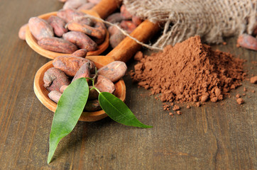 Cocoa beans in spoons and cocoa powder on wooden background