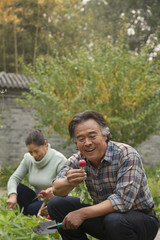 Senior couple in garden