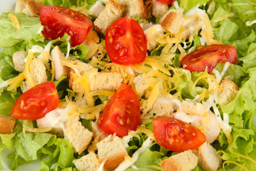 Caesar salad on white plate, close up