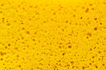 Yellow sponge texture