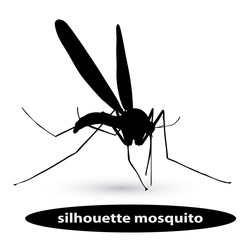 silhouette mosquito