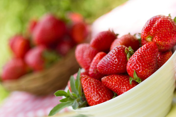 Fresh organic strawberry