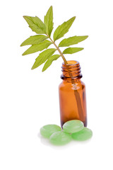 valerian pill natural homeopathic  alternative medicine