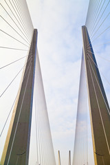 Obraz premium Big guy bridge