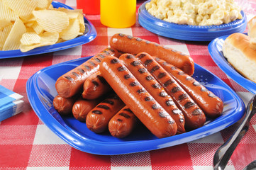 Picnic Hot Dogs