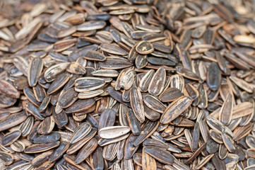 sunflower seeds