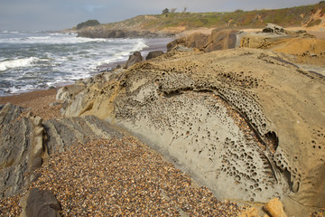 Pebble beach at Bean Hollow State Beach in California