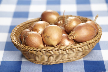 Korb mit Zwiebeln auf karierter Tischdecke