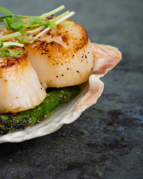 Sauteed scallops on the shell with asparagus