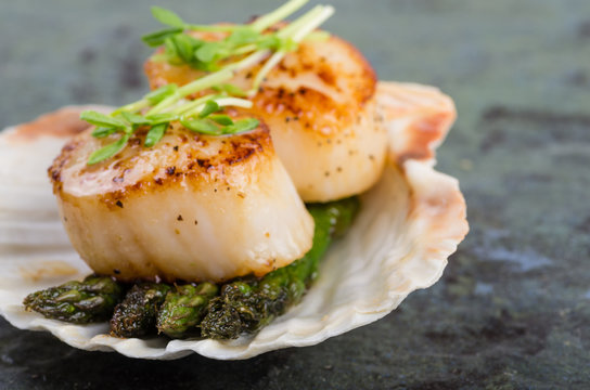 Sauteed scallops on the shell with asparagus