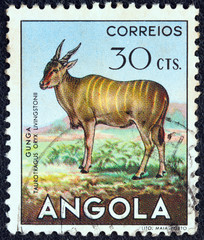 Taurotragus oryx (Angola 1953)