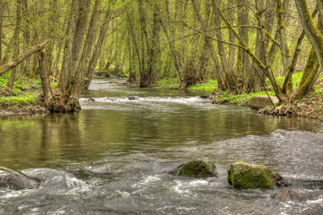 Frühling an der selke im Harz hier Selketal-Stieg