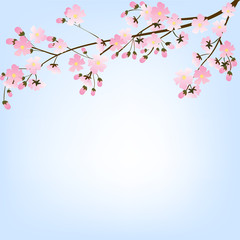 Fototapeta premium tree branch