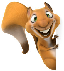 Fun squirrel © Julien Tromeur