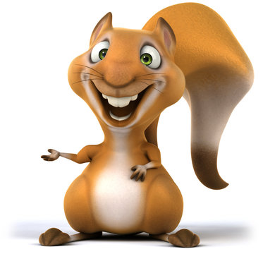 Fun squirrel
