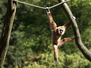 Lass Dich nicht h&auml;ngen!
