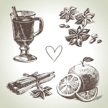 Set of mulled wine, fruit and spices, hand drawn illustrations