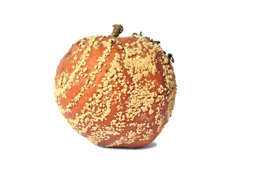 Rotten Apple On White Background