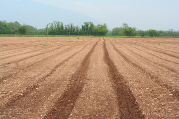 campo arato e seminato_ campagna