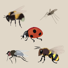 realistic flying insects a vector collection