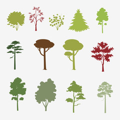 one color forest trees - 52069185