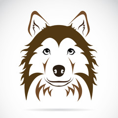 Vector image of an dog on white background