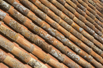 Clay Roof Tiles