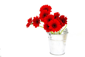 gerbera flowers in a bucket